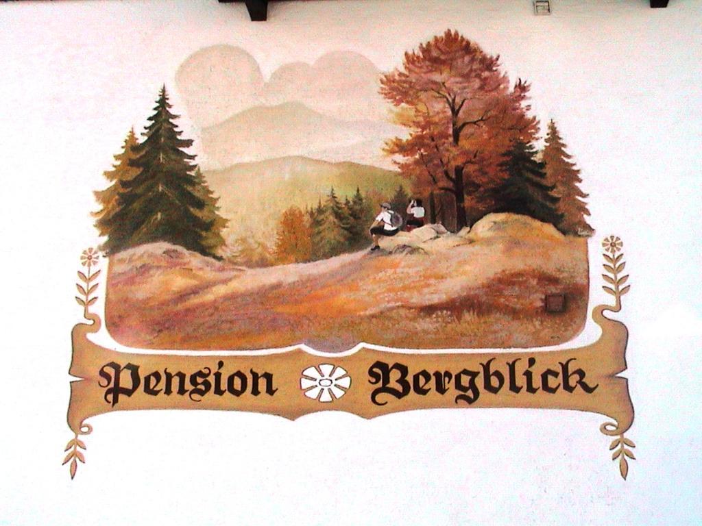 Pension Bergblick Bayerisch Eisenstein Dış mekan fotoğraf